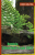 Benicia CleanTech Expo 2013 - Program guide cover